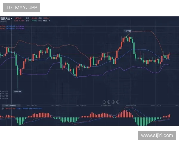 开云网址与其他平台的比较，找出最适合你的选择