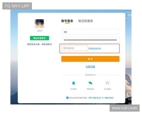 开云网页版安全设置中的密码管理和多重验证方式详解